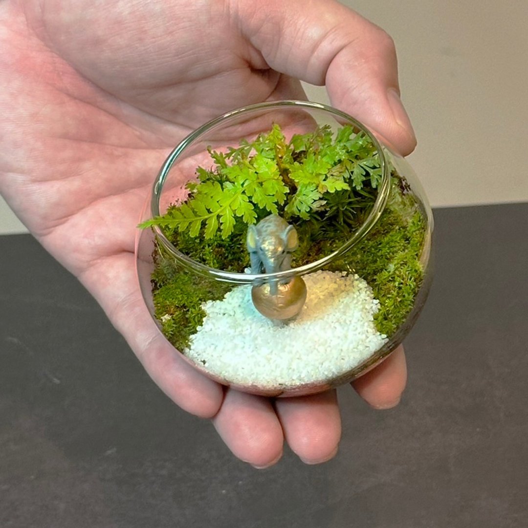 大象马戏团 / 超迷你掌上型手工微景观生态盆 - 植栽/盆栽 - 植物．花 