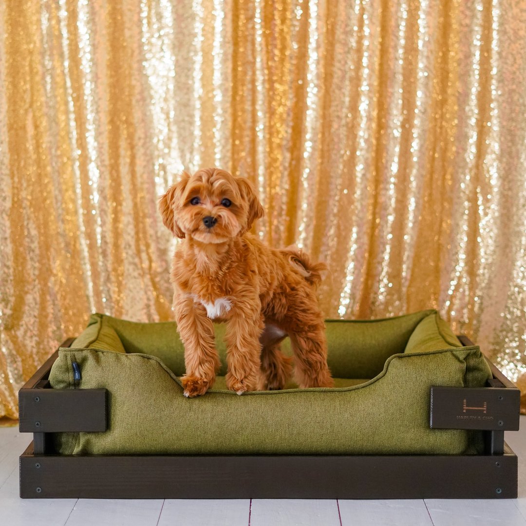 Cuddler Pet Bed for Small breed with wooden frame S size 68x49 cm - 床垫/笼子 - 其他材质 卡其色