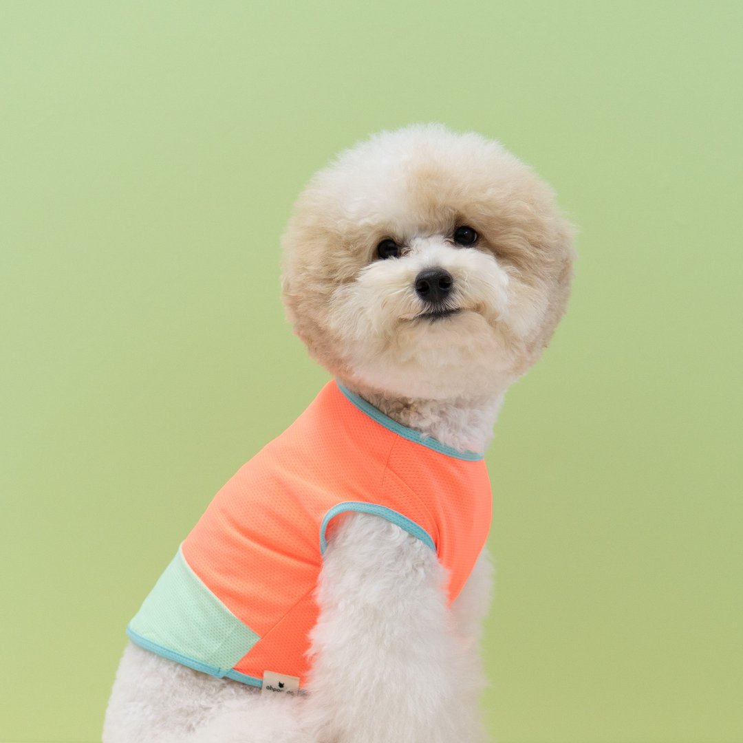 宠物衣 - Orange Popsicle Tank - 衣/帽 - 棉 橘色