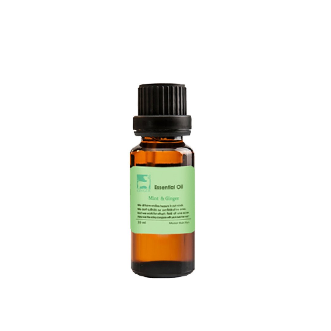 【GIN-GER】薄荷姜芬精油 20ml - 香薰/精油/线香 - 精油 