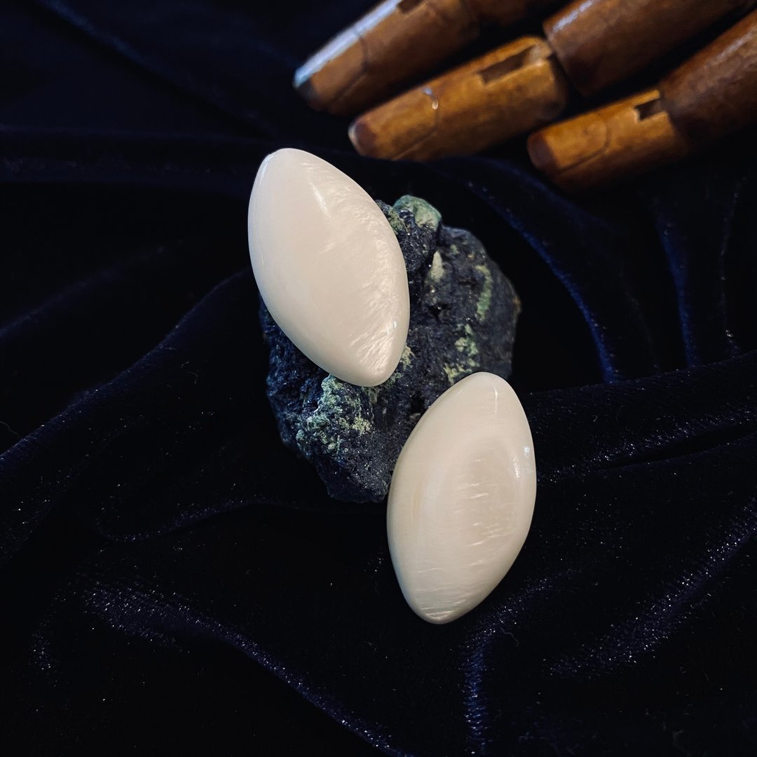 Winter Collection 月光下的古典贝壳 耳针 限量一对 - 耳环/耳夹 - 贝壳 白色