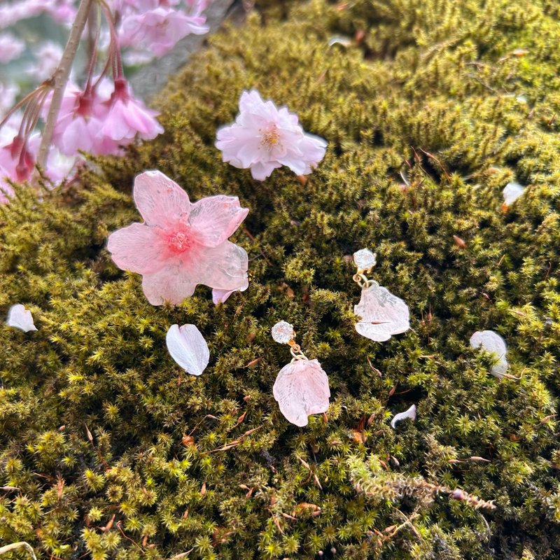 永生花耳环 /樱花 · 语系列 /免费改夹 /两款可选 - 耳环/耳夹 - 植物．花 粉红色