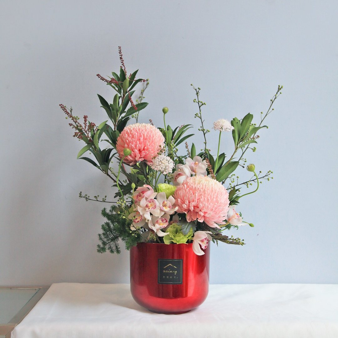 【牡丹迎春/鲜花盆景】牡丹菊、东亚兰/花面35cm/全国包邮配送 - 植栽/盆栽 - 植物．花 