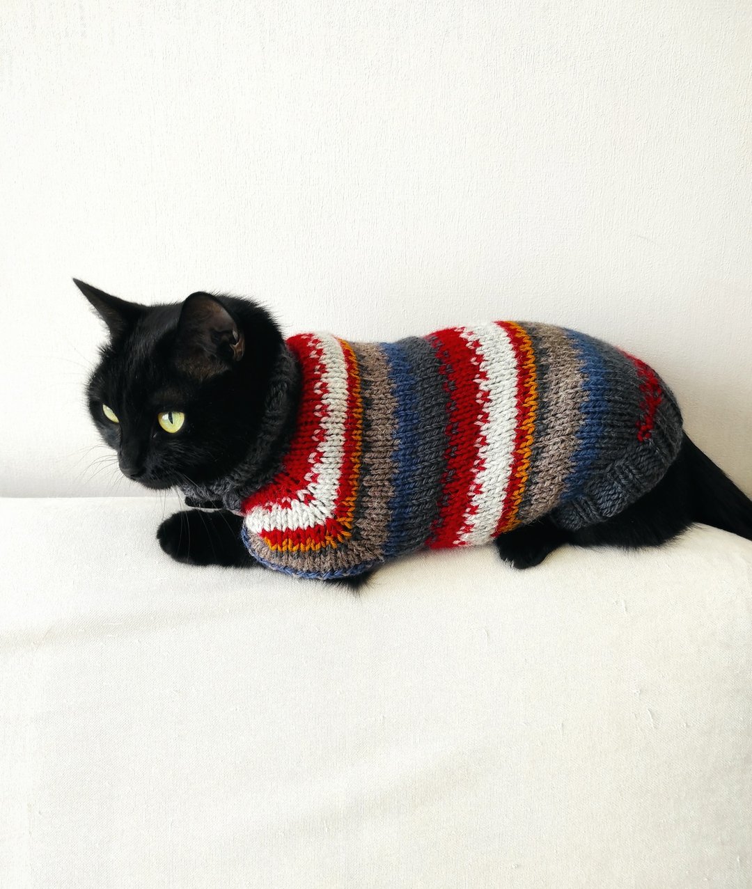 Striped sweater for cat sweater for pet Clothes for cat Cardigan for pets outfit - 衣/帽 - 羊毛 