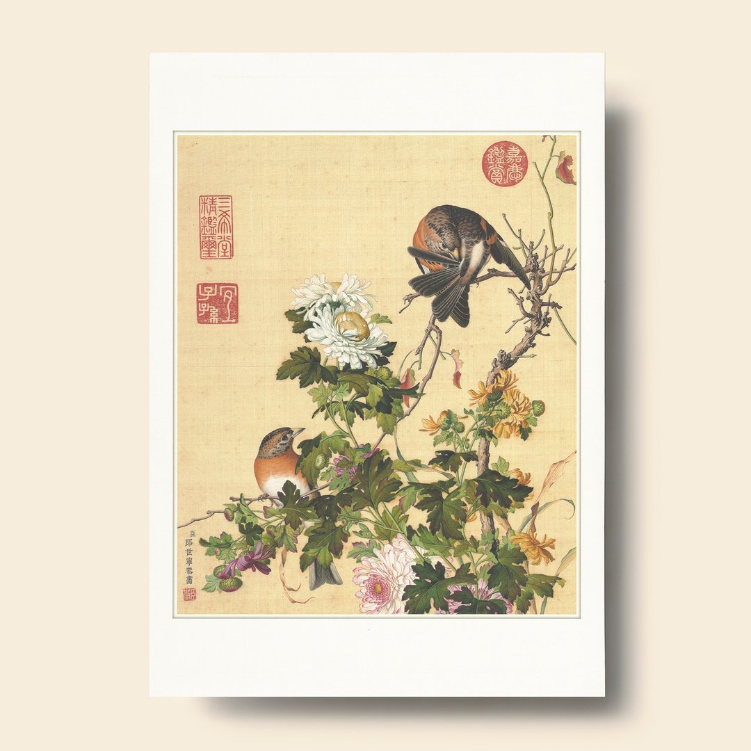 【B4 艺术画卡・B4 Poster】仙萼长春 菊花 - 海报/装饰画/版画 - 纸 卡其色