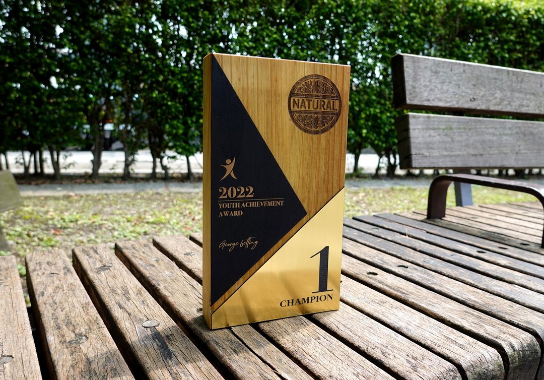 新品1【定制化】奖牌 / 奖杯 / 奖座 / 金属板 / 复合奖杯 / 手工 - 其他 - 木头 卡其色