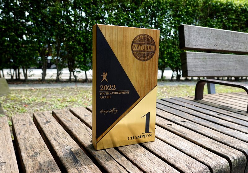 新品1【定制化】奖牌 / 奖杯 / 奖座 / 金属板 / 复合奖杯 / 手工 - 其他 - 木头 卡其色