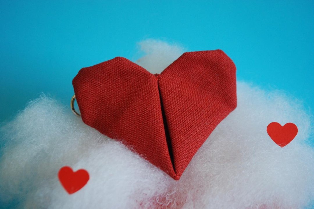 A-NI Heart collar for cats and dogs Valentine's Edition - 项圈/牵绳 - 棉 红色