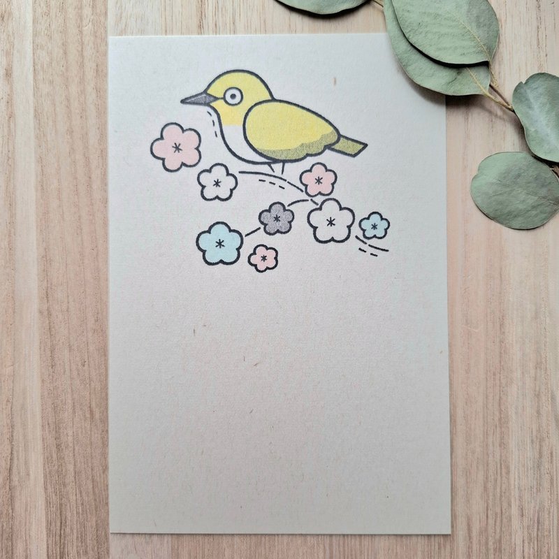 明信片 绿绣眼 - 卡片/明信片 - 纸 