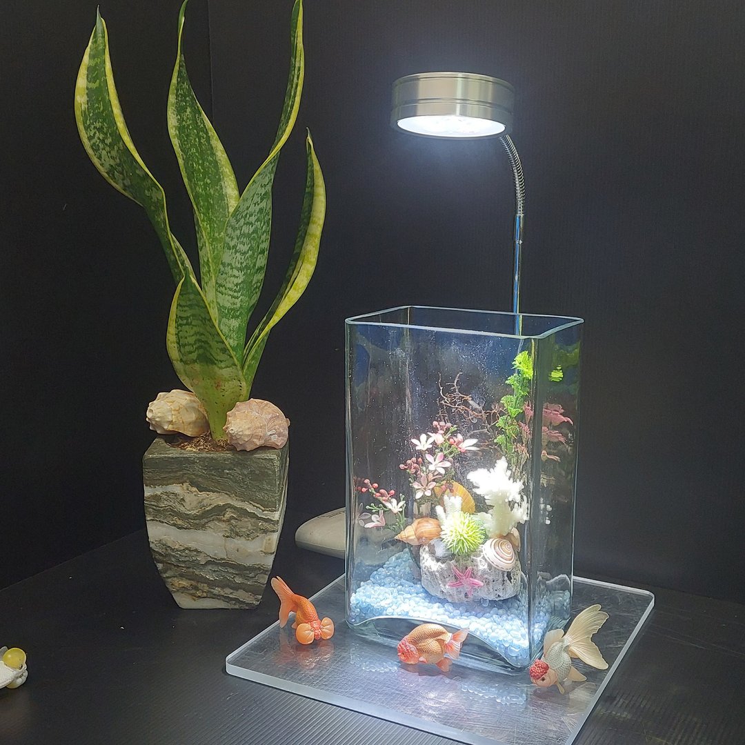 鱼缸 珊瑚造景、流木水草 组合造景 AM-002-M-01 - 花瓶/陶器 - 玻璃 