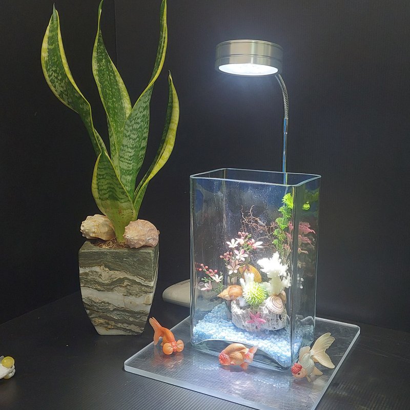 鱼缸 珊瑚造景、流木水草 组合造景 AM-002-M-01 - 花瓶/陶器 - 玻璃 