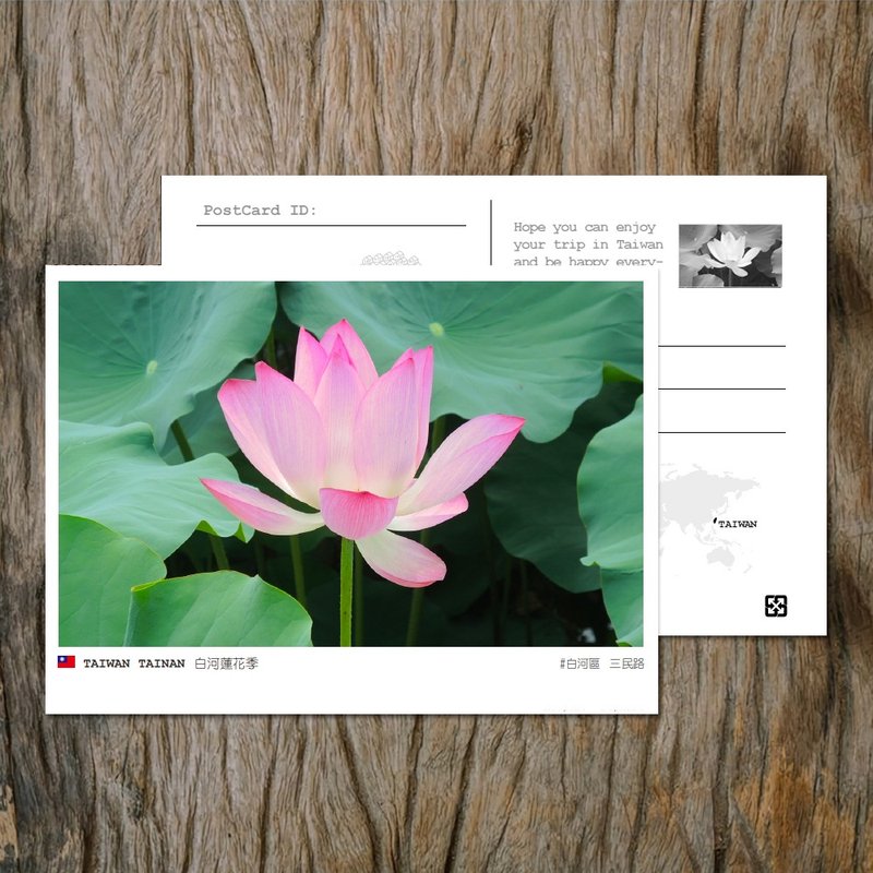 No.82台湾明信片 / 台南白河莲花 / 任选买10送1 - 卡片/明信片 - 纸 多色