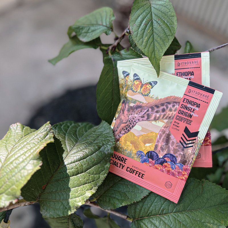 【寻品咖啡・两件5折】精品滤挂式咖啡 - 花贝果娜 TOP G1 10入盒 - 咖啡 - 新鲜食材 橘色