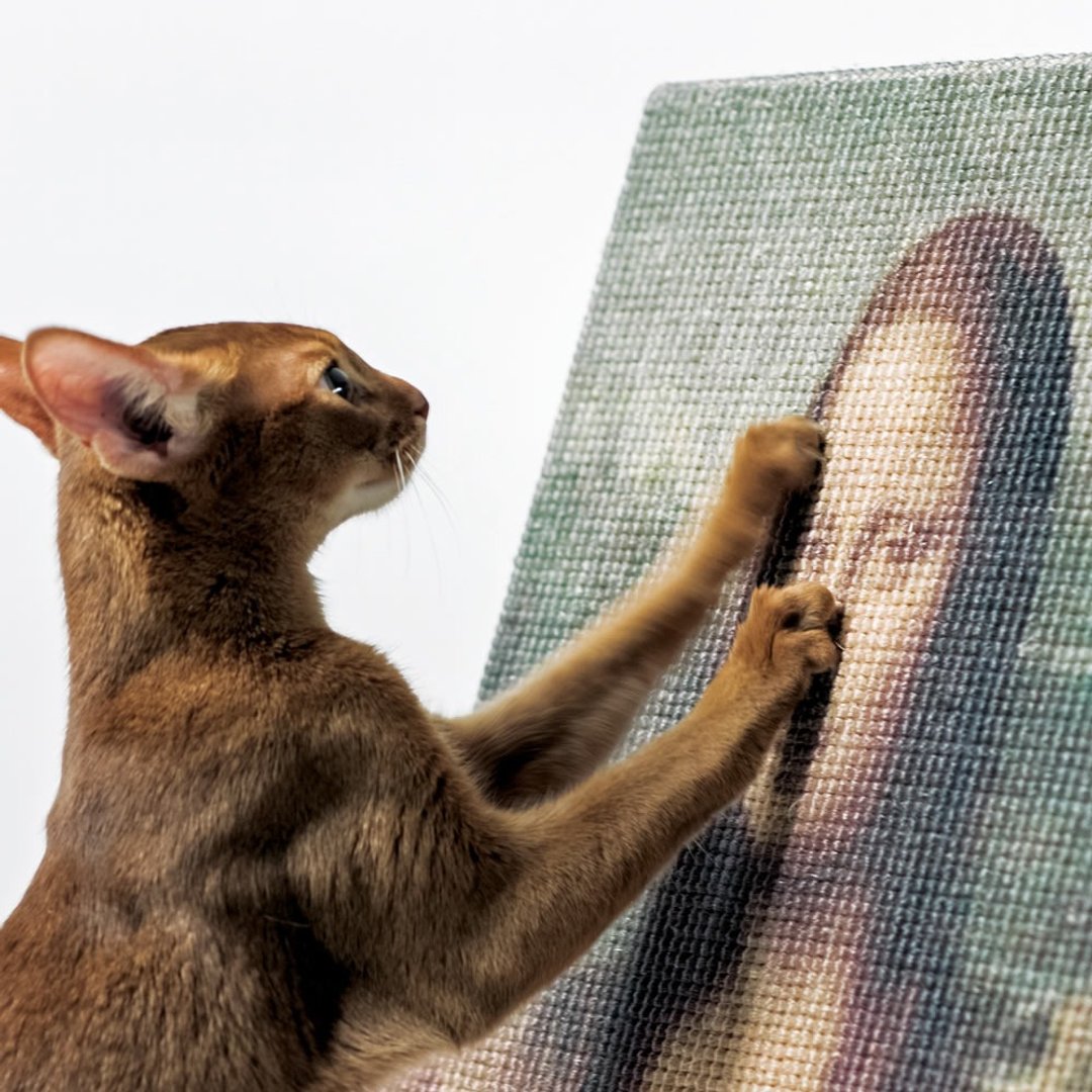 蒙娜丽莎 The Mona Lisa艺术名画猫抓板 - 抓板/跳台 - 棉 卡其色
