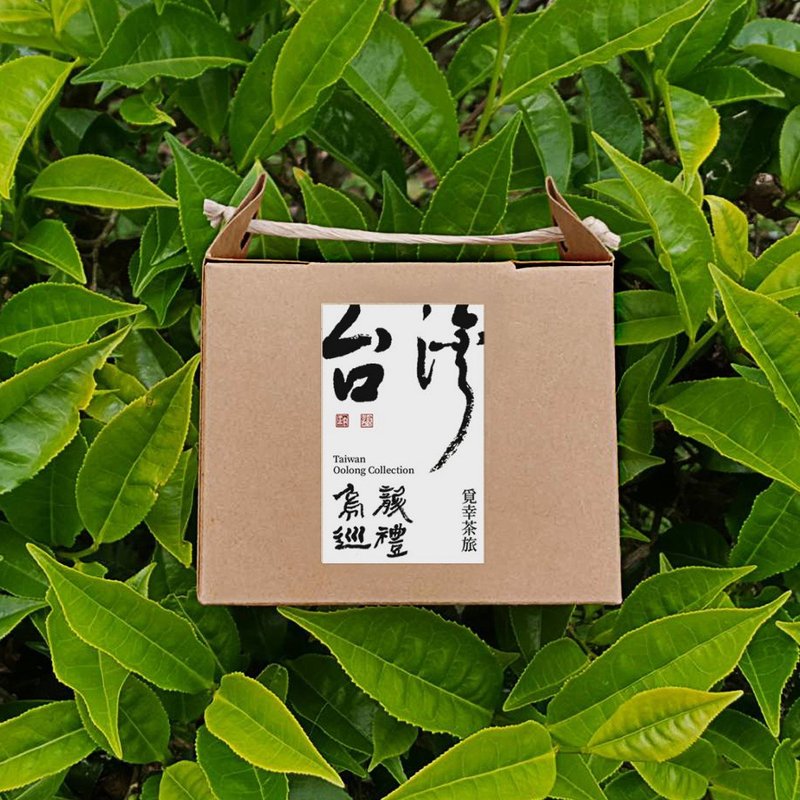 乌龙巡礼 | 茶包12入【台湾特色乌龙】 - 茶 - 新鲜食材 