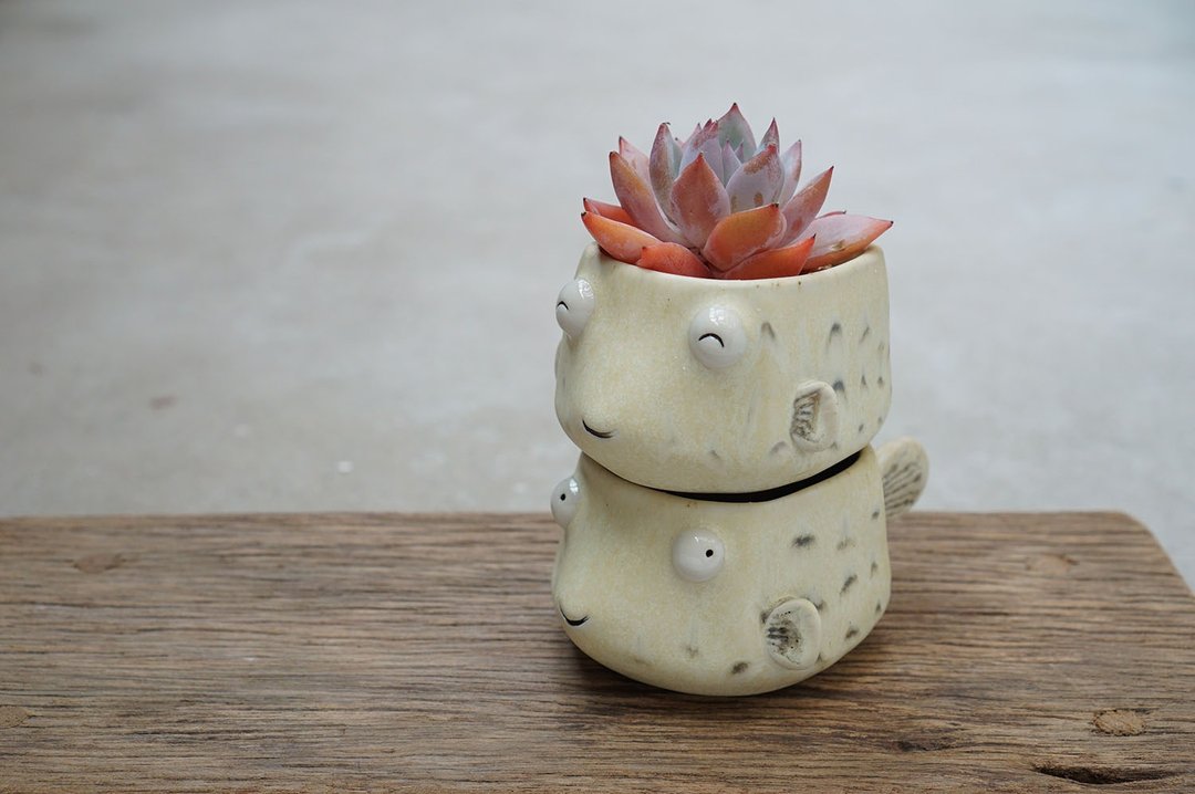 Puffer pot , Puffer plant pot , Handmade ceramics , pottery - 植栽/盆栽 - 陶 黄色