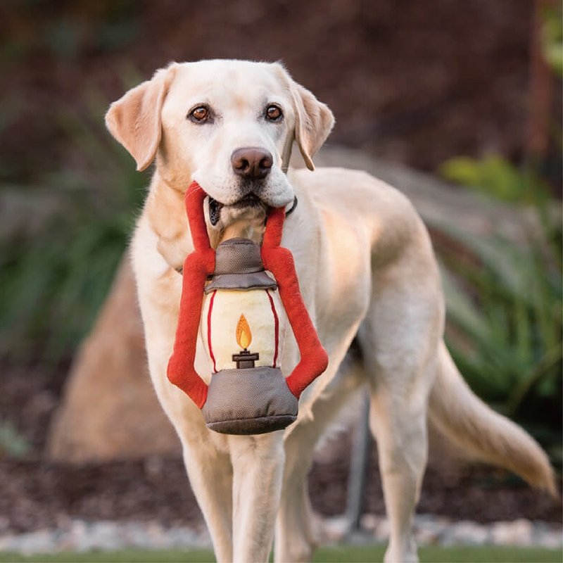 宠物玩具 狗狗 科尔宾露营 吊挂露营灯 啾啾声 抗忧解压 - 玩具 - 环保材料 