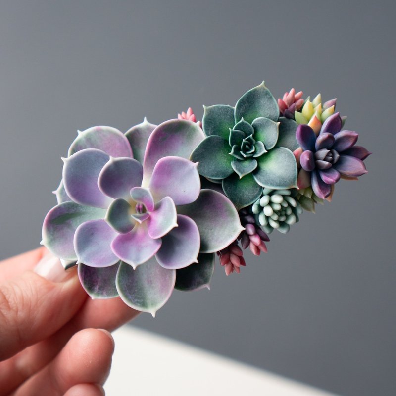 鳄鱼发夹，饰有 Echeveria Perle von Nurnberg - 发饰 - 其他材质 