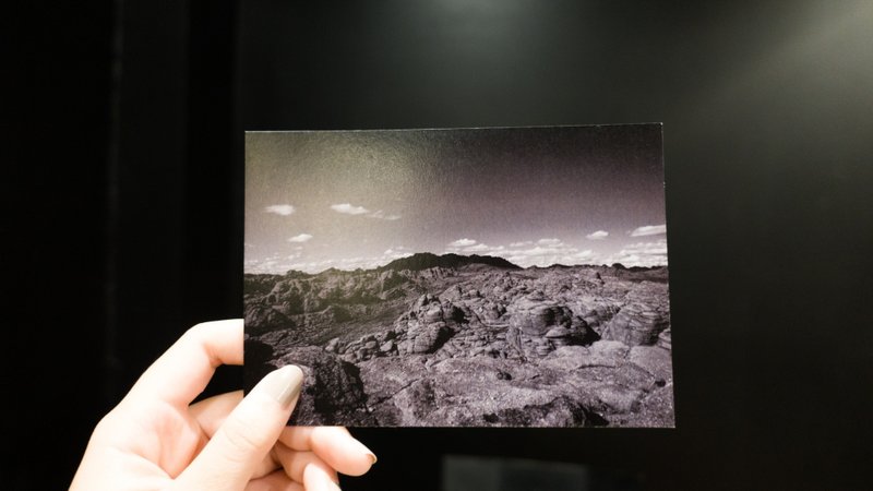 Trans-siberian Post card (cow) - 卡片/明信片 - 纸 多色