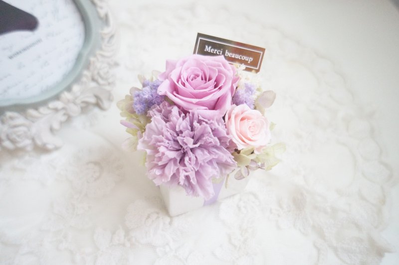 母亲节快乐-甜美康乃馨花礼 - 植栽/盆栽 - 植物．花 紫色