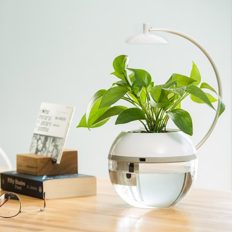 【水族赏】香草与鱼Herb&Fish - 植栽/盆栽 - 铝合金 白色