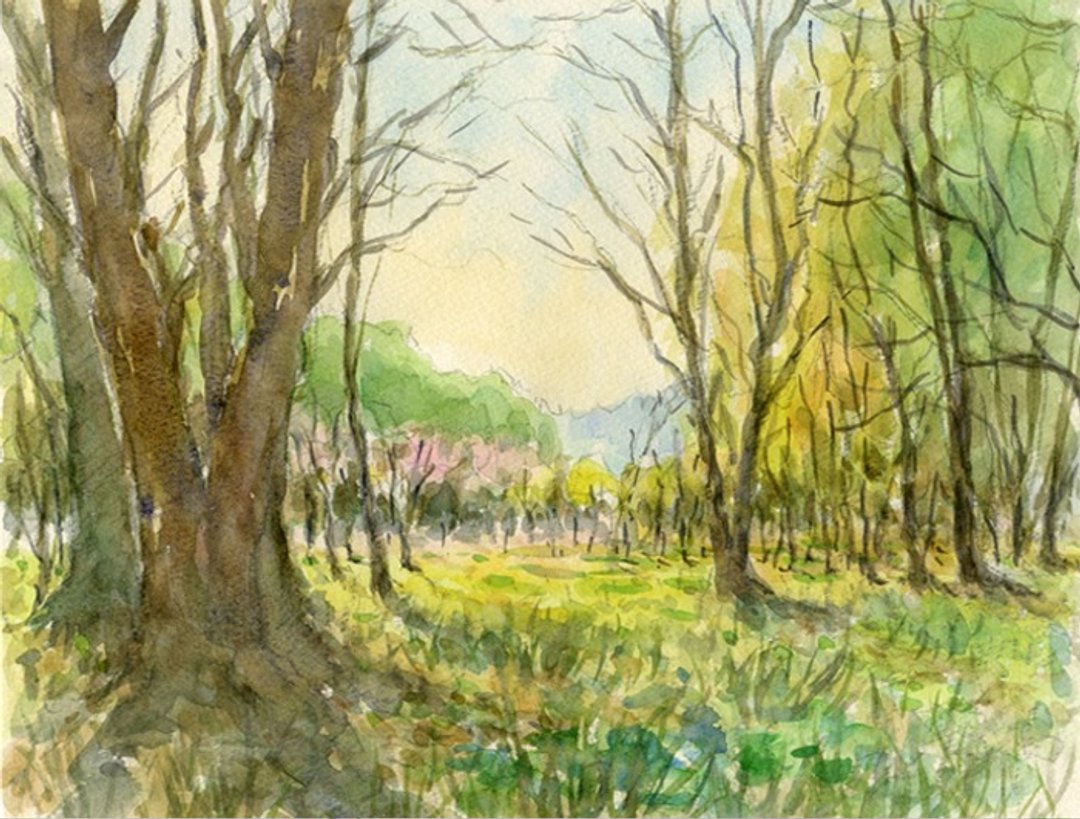 Original watercolor painting Wetland forest, Azumino - 海报/装饰画/版画 - 纸 绿色