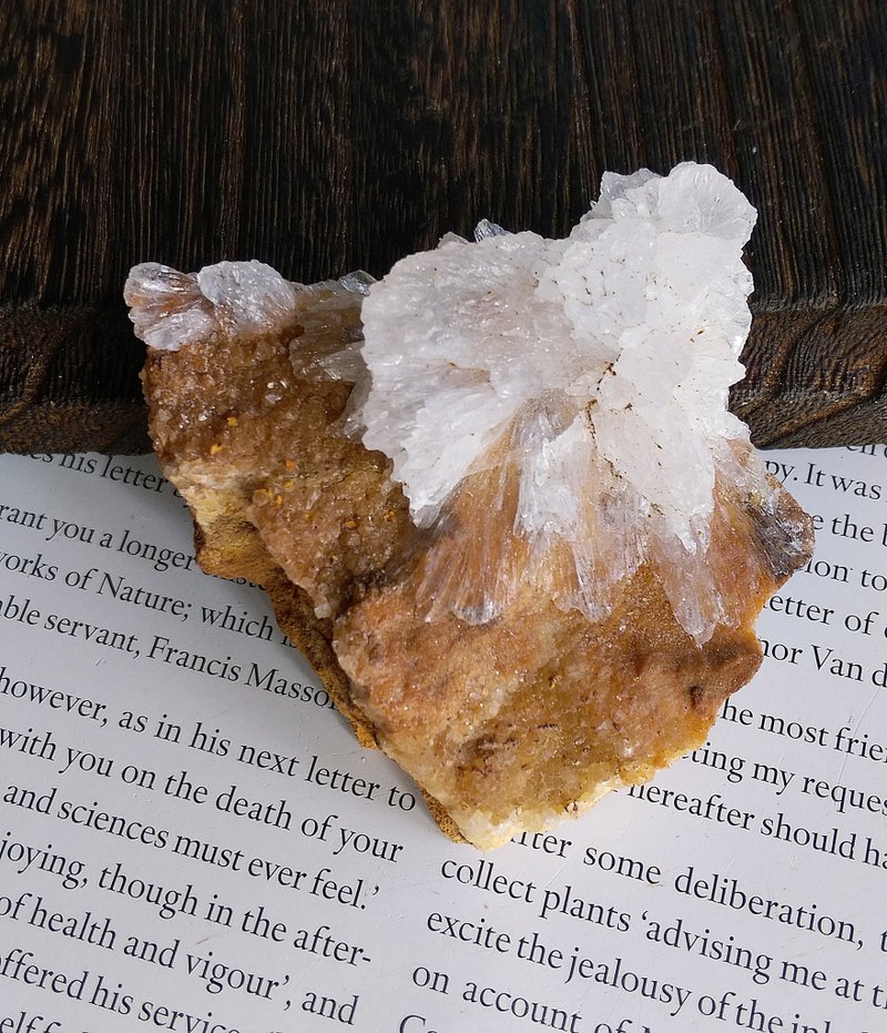 Selenite 湖北产地 透石膏花 天然矿石 原矿 - 摆饰 - 其他材质 