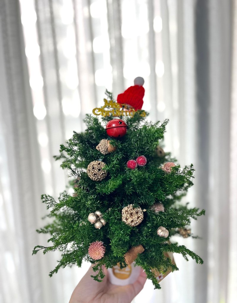 附赠乙瓶艾森农场精油 香氛不凋雪松圣诞树/圣诞树礼物/交换礼物 - 干燥花/捧花 - 植物．花 