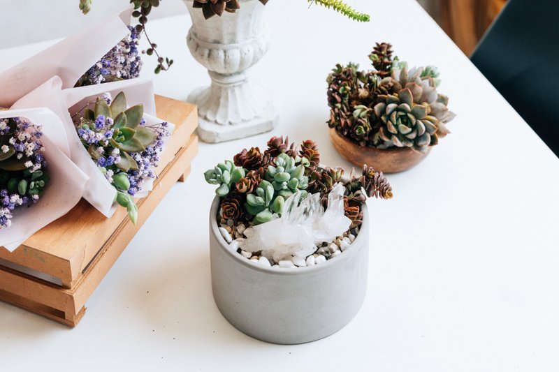 水晶多肉组盆 植栽体验课 Crystal Terrarium - 植栽 - 植物．花 