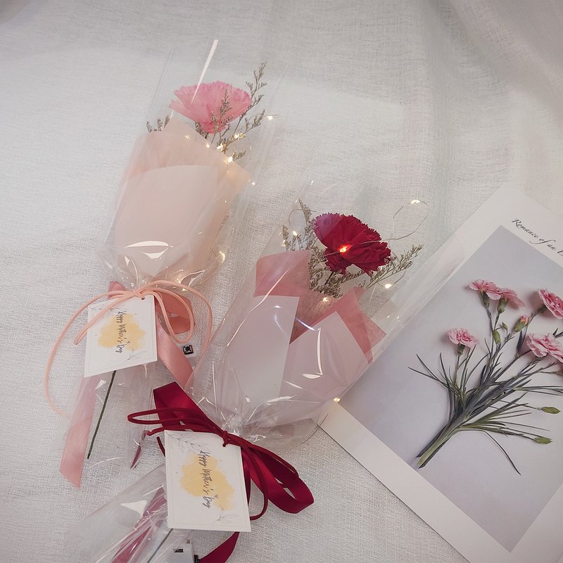 香氛索拉康乃馨单只花束 /母亲节花束/永生花/干燥花束/花束 - 干燥花/捧花 - 植物．花 红色