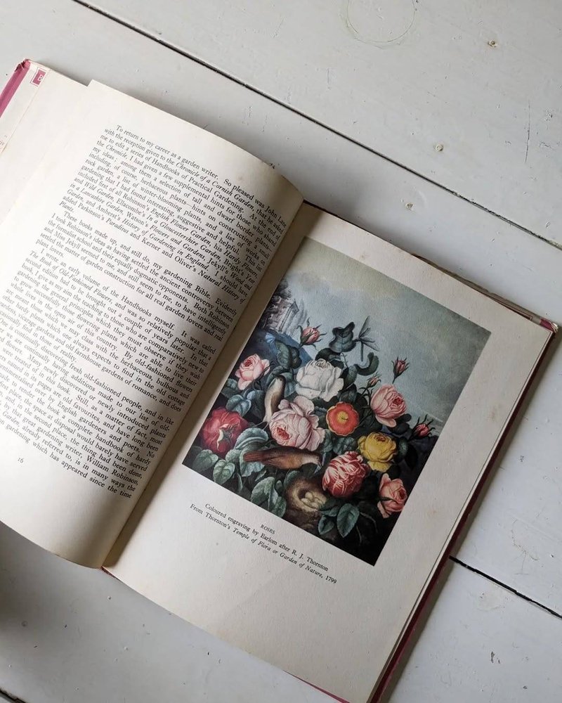 英国花园/老书/古书/图鉴/花艺/圣诞礼物 - 刊物/书籍 - 纸 黄色