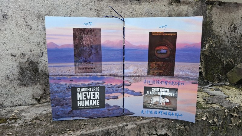 Liuyingchieh 是谁说枪杀婴儿是正常的 007 VEGAN 拼贴艺术家的书 - 刊物/书籍 - 纸 粉红色