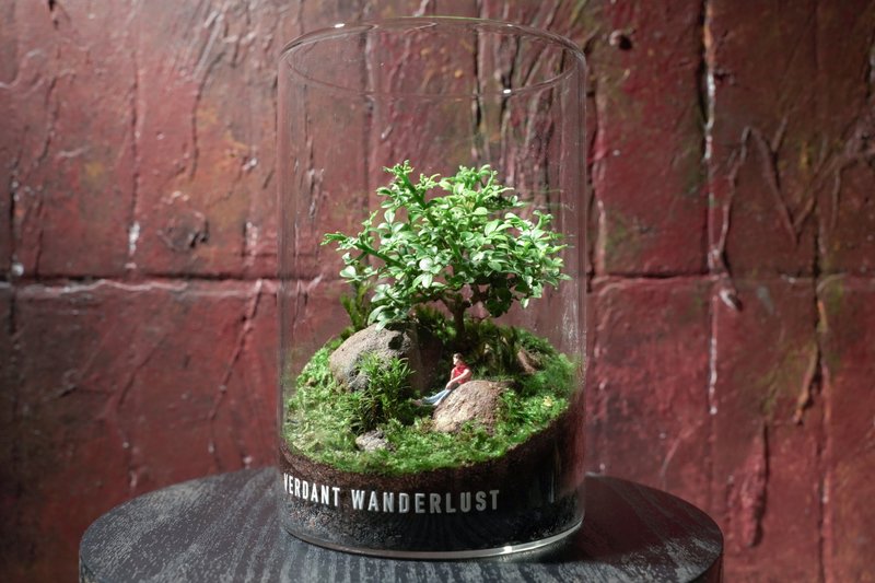 【生态瓶－慢下来的地方】微景观 室内植栽 礼物 办公室摆设 - 植栽/盆栽 - 植物．花 绿色