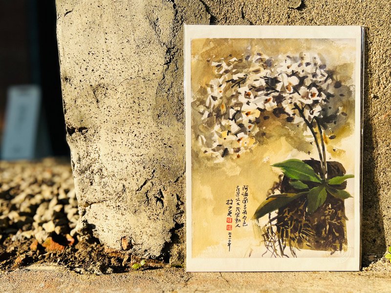 兰花艺术微喷-阿嬷兰 - 摆饰 - 纸 多色