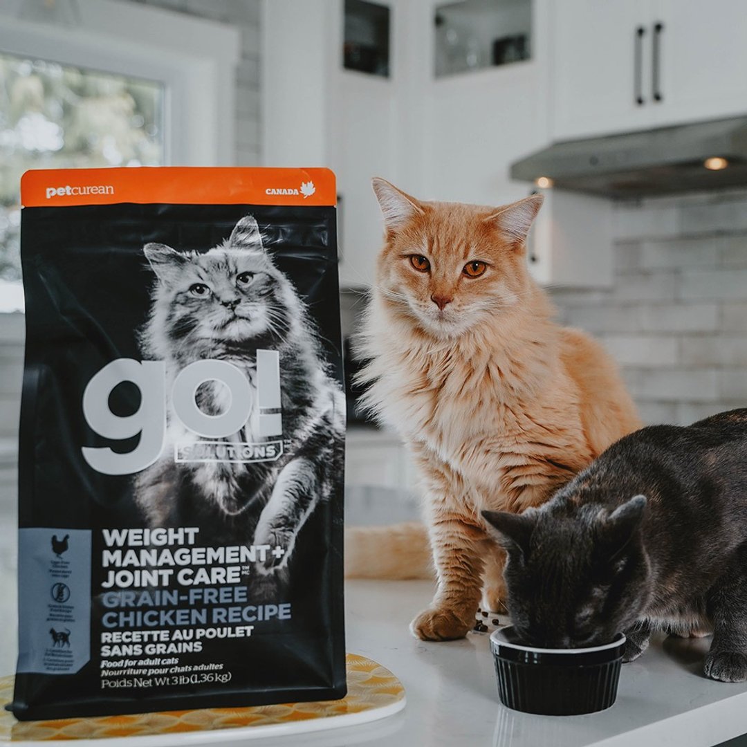 【猫主食】go! 鸡肉无谷成猫 低脂关节保健系列 猫饲料 体重控制 - 猫罐头/鲜食 - 新鲜食材 