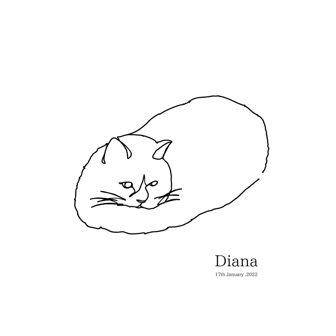 简约线条画 定制画 订制画 宠物画 猫 狗 毛小孩 生日 定制化礼物 - 订制画像 - 纸 白色