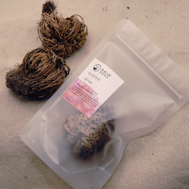 【AMIN疗愈绿洲】绿洲圣经复活草 - 香薰/精油/线香 - 植物．花 