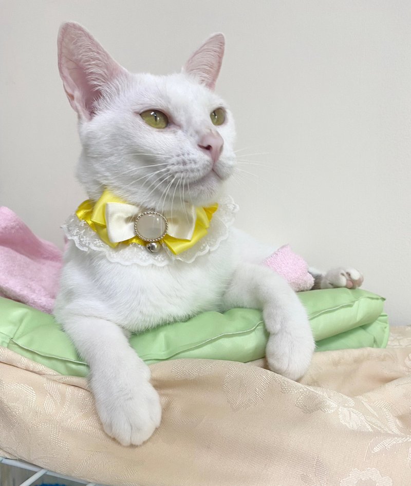 猫咪狗狗兔子-小型加长(P-SS3)-三角巾领巾手工项圈-蕾丝 - 项圈/牵绳 - 其他材质 多色