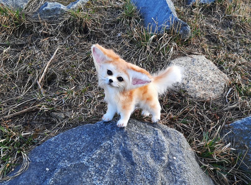 Fennec fox art doll poseable, OOAK Fantasy creature toy plush - 玩偶/公仔 - 其他材质 橘色