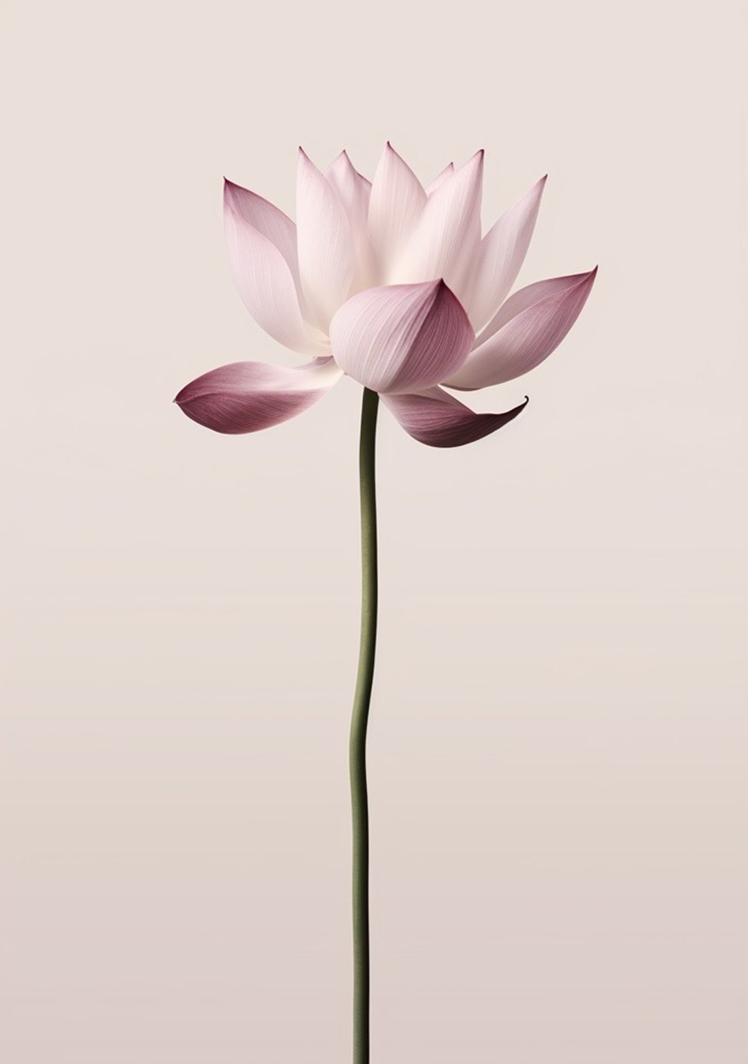 莲花 - 高雅微喷画作/东方意境静谧/书房客厅品味提升/艺术挂画 - 海报/装饰画/版画 - 棉 