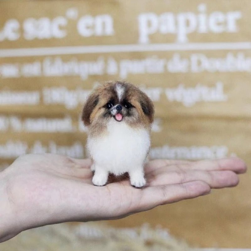 定制 逼真犬 毛孩 宠物 京巴犬 羊毛毡 娃娃 似颜绘 纪念 狗狗 c3 - 玩具 - 羊毛 多色