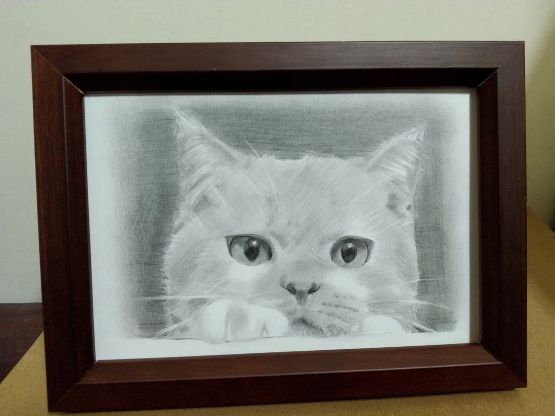 摆设 / 猫 / 铅笔素描 / 原稿 / 含框 - 海报/装饰画/版画 - 纸 