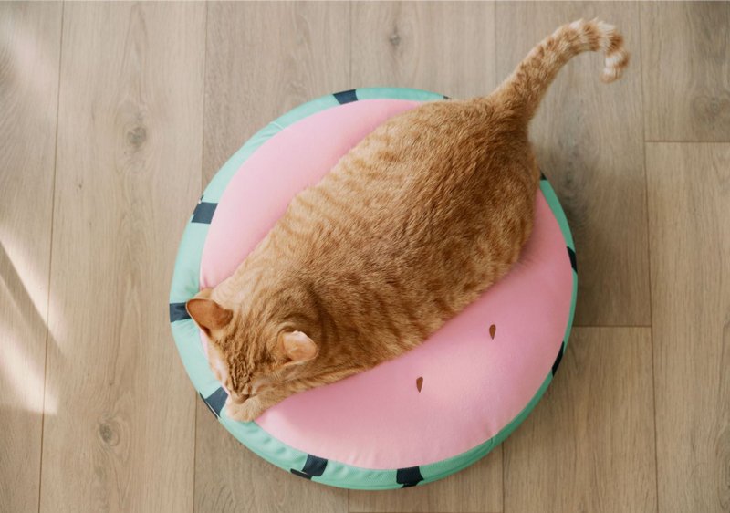 懒骨头 - 微甜西瓜   猫咪床垫 狗狗床垫 宠物睡垫 - 床垫/笼子 - 聚酯纤维 
