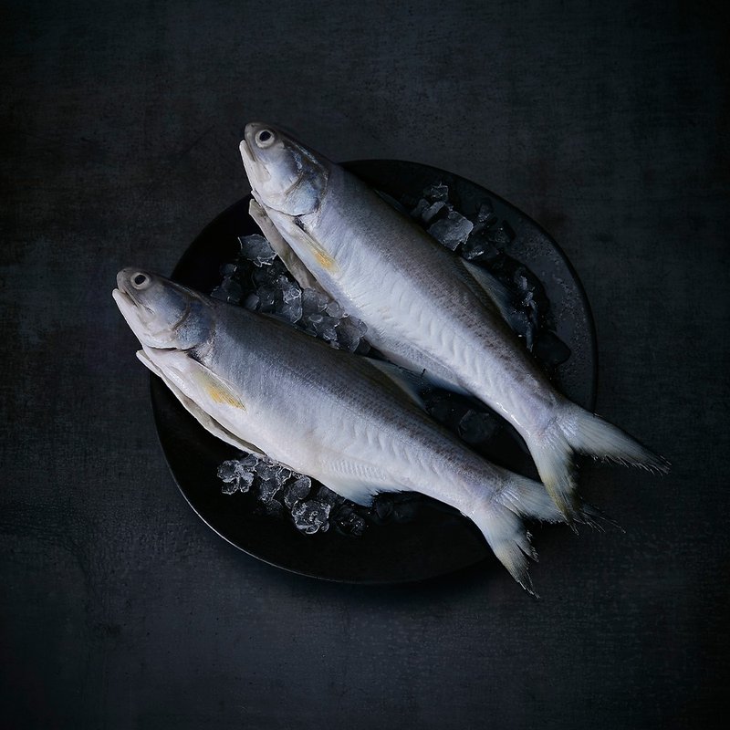 钻石水午仔鱼 - 其他 - 新鲜食材 