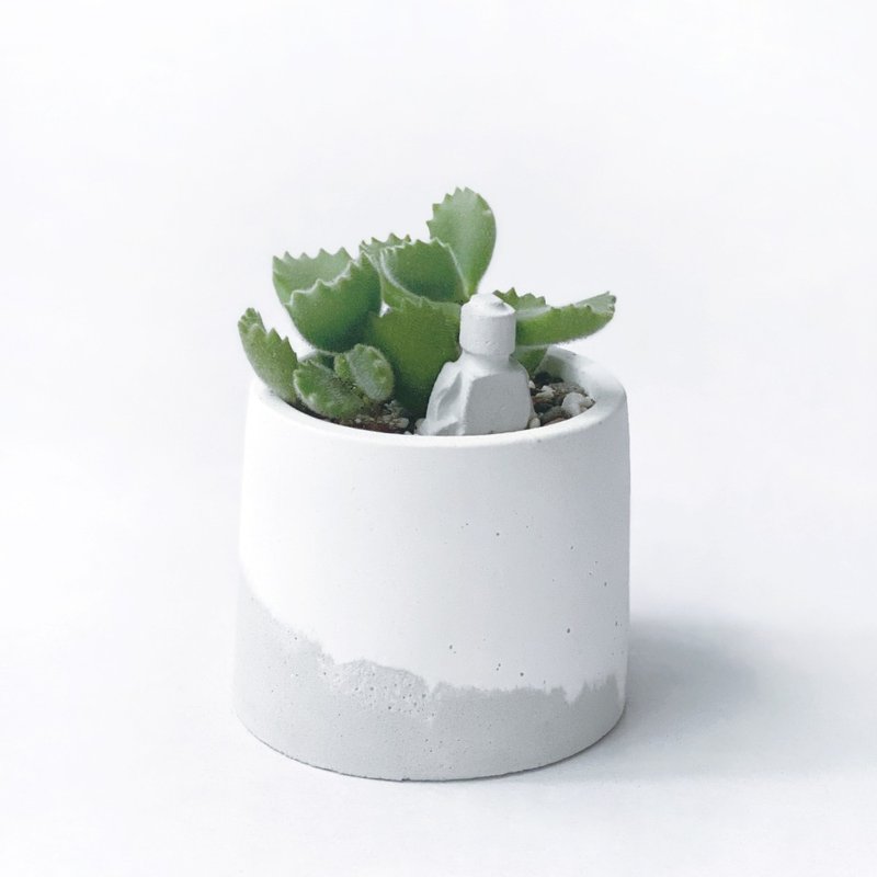 (预购) 白灰渐层系列 | 熊童子 赠小机器人 圆形水泥多肉植栽 - 植栽/盆栽 - 植物．花 灰色