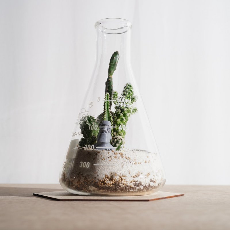 摩艾与500ml锥形烧杯/仙人掌植物【植物保固】 礼物 - 植栽/盆栽 - 玻璃 绿色