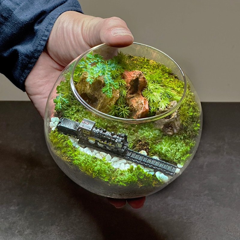 越岭者 / 手工微景观生态盆 - 植栽/盆栽 - 植物．花 