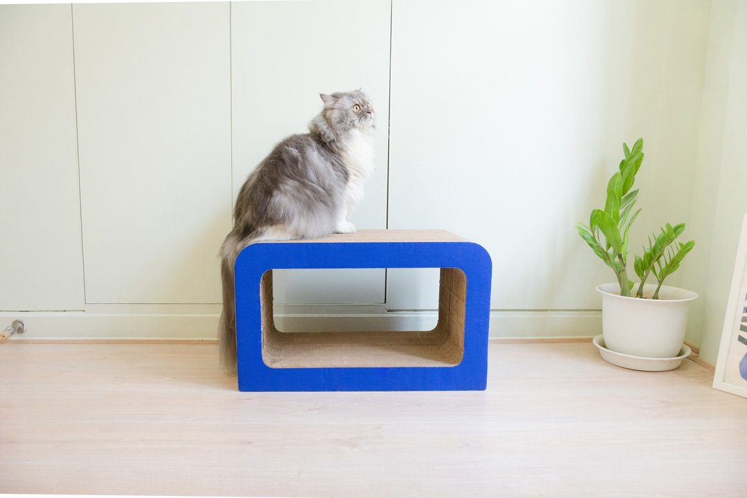 mini.c BLAU 猫抓板 猫抓柱 猫屋 猫玩具 猫家具 - 玩具 - 纸 蓝色