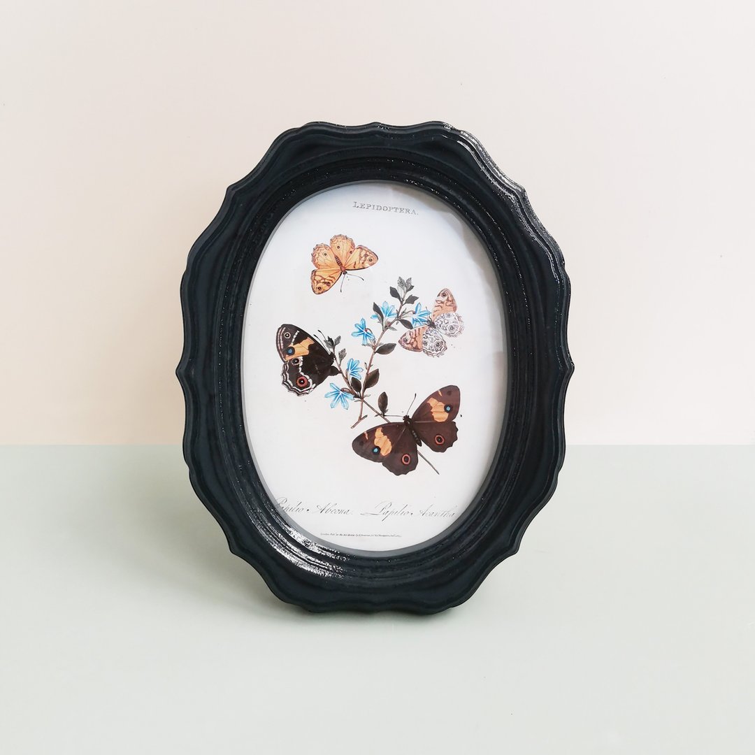 Christmas Gift Wrapping Vintage Rose charming photo frame glossy color oval - 画框/相框 - 木头 黑色