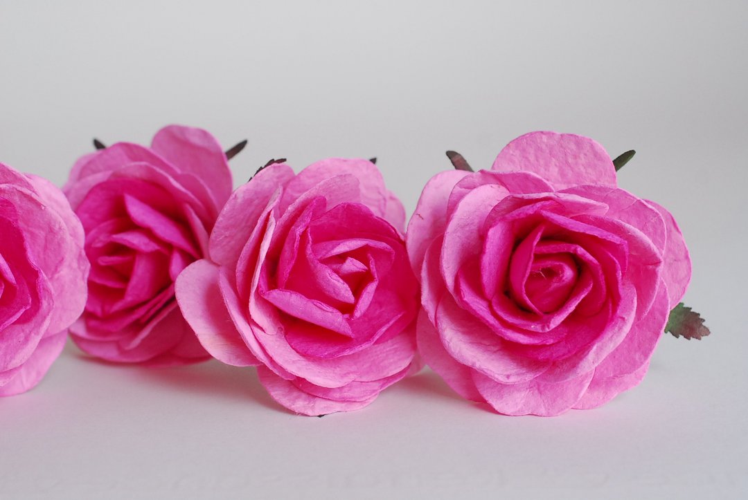 Paper Flower, 10 DIY pieces mulberry big rose size 7.0 cm., pink 2 tone colors. - 木工/竹艺/纸艺 - 纸 黑色